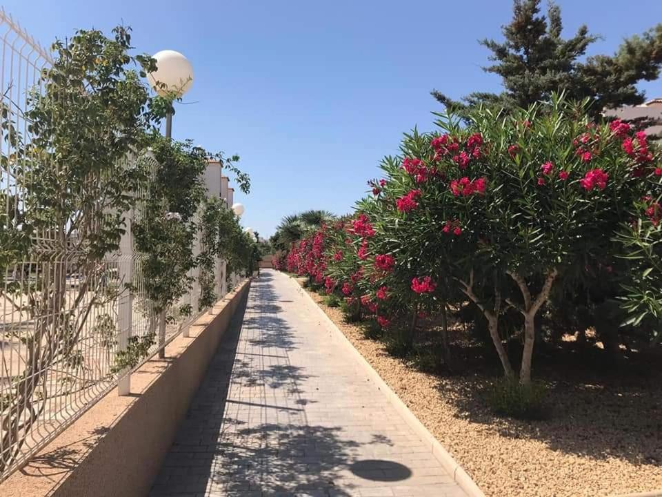Ferienwohnung Casa Punta Prima Orihuela Exterior foto